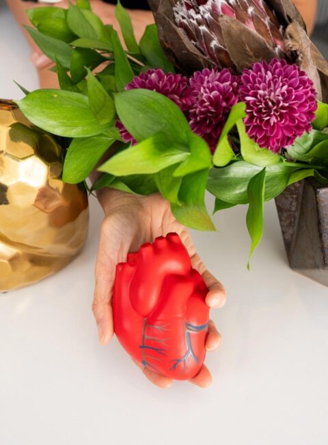 Heart shoot YNC